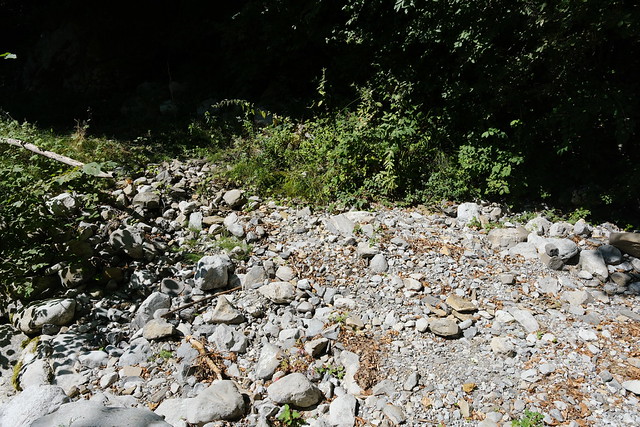 Gué @ Ruisseau de la Grande Sennaz à sec @ Saint-Ferréol