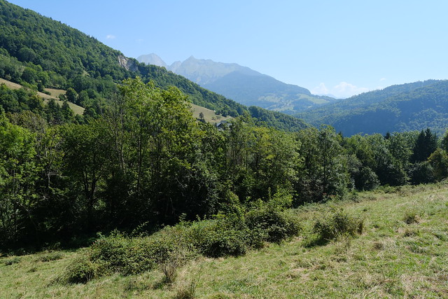 Pâturage @ Saint-Ferréol