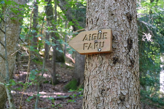 Vers Aigue Faru @ Saint-Ferréol