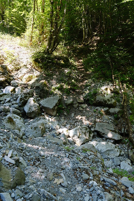 Gué @ Ruisseau de la Grande Sennaz à sec @ Saint-Ferréol