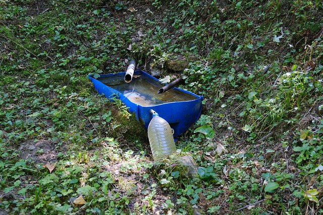 Source @ Saint-Ferréol