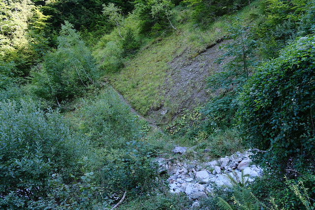 Gué @ Ruisseau de la Grande Sennaz à sec @ Saint-Ferréol