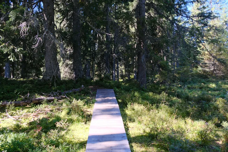 Le sentier de la Salamandre @ Queige
