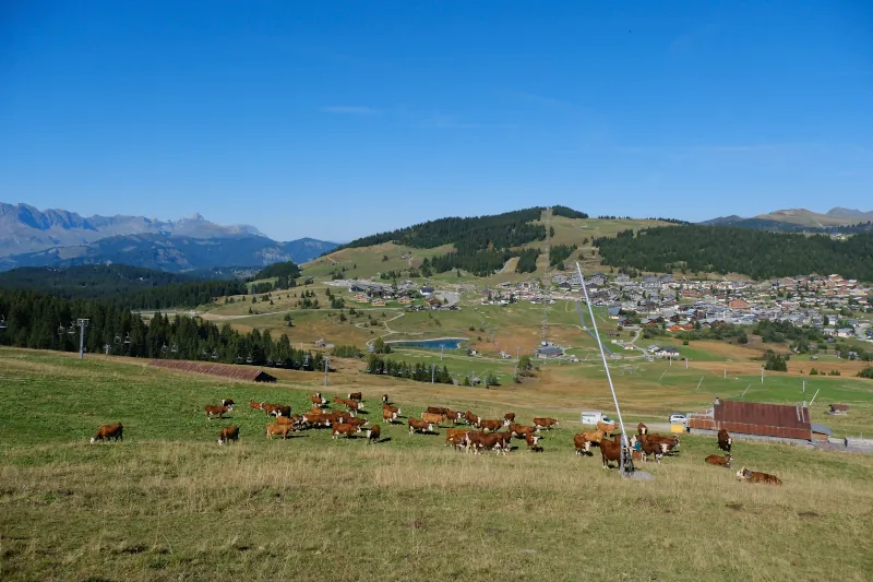 Villard-sur-Doron