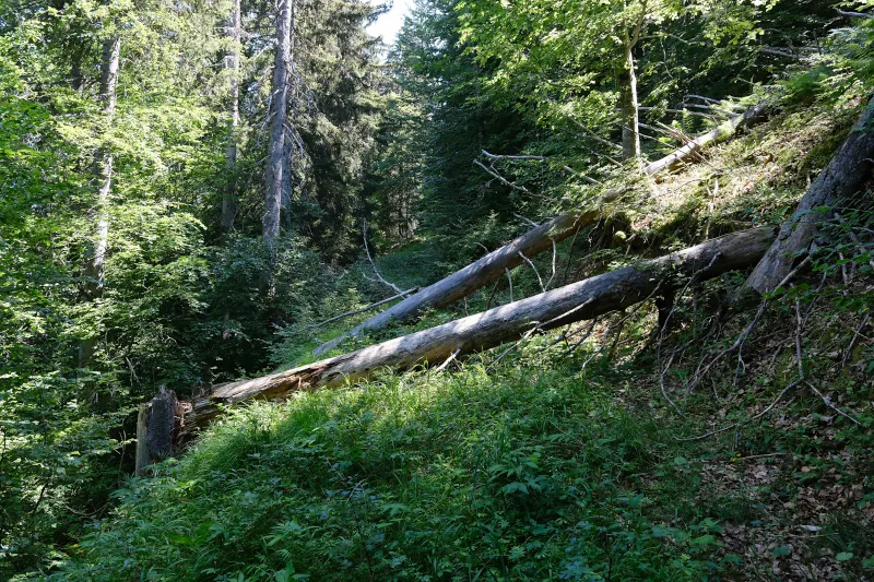 Le Bouchet-Mont-Charvin