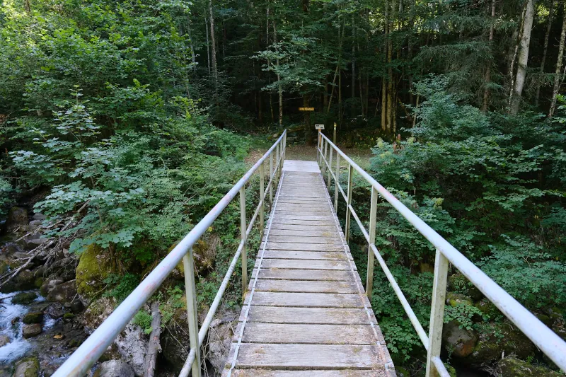 Passerelle du Vieux Moulin @ Le Bouchet-Mont-Charvin