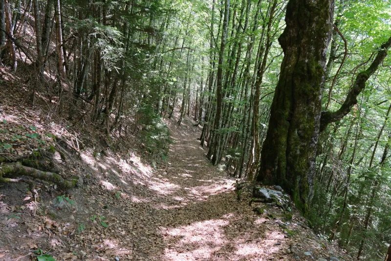 Le Bouchet-Mont-Charvin