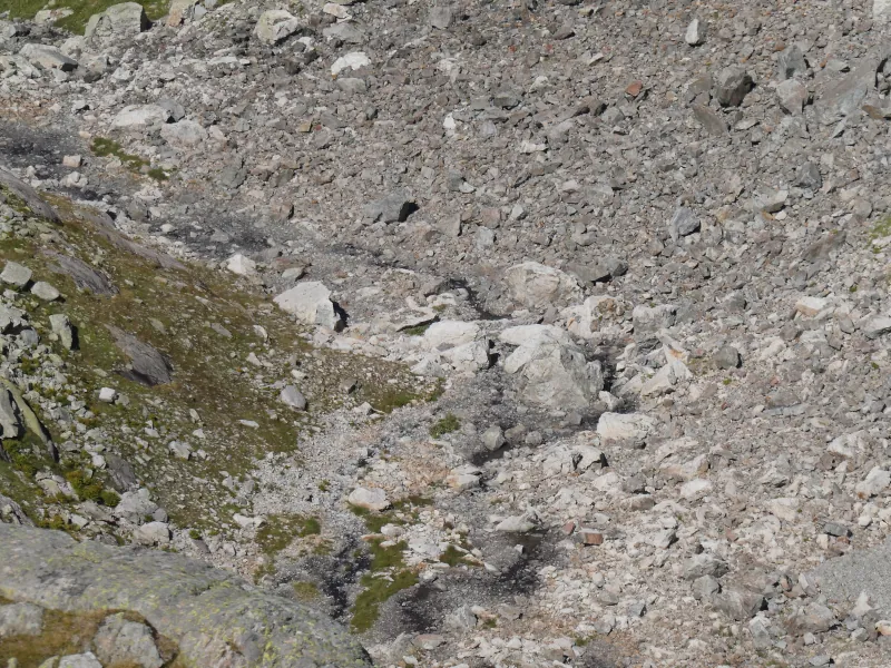 Torrent de la Floria @ Chamonix
